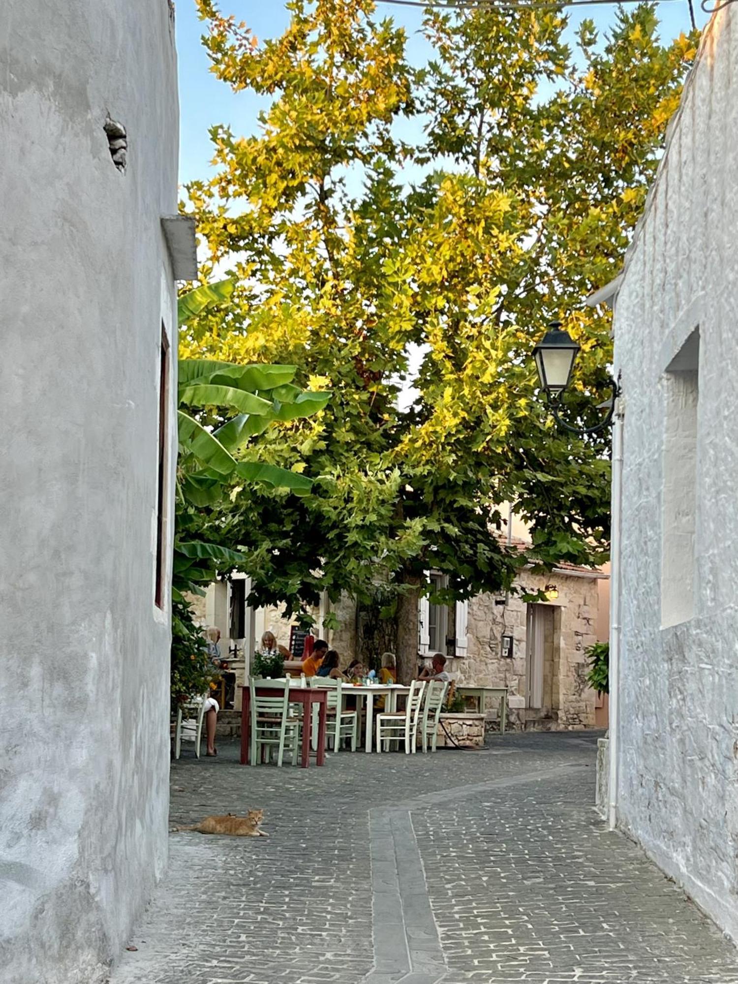 Villa Metapothia Gavalochori Crete Экстерьер фото